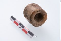 Foto von Beintülle (NHMW-PRAE-002297)